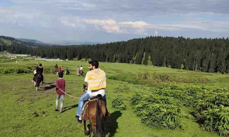 Snow activities Hotels in Gulmarg